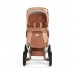 ДЕТСКАЯ КОЛЯСКА 2 В 1 GEOBY BABY LUX C706